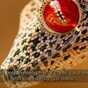 Meet your Posher, Mariposa